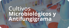 Servicio de cultivos microbiológicos y antifungigrama